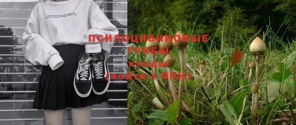 метамфетамин Ельня