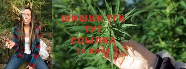 ГАЛЛЮЦИНОГЕННЫЕ ГРИБЫ Медногорск
