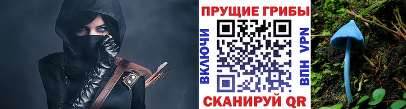 Псилоцибиновые грибы GOLDEN TEACHER Завитинск